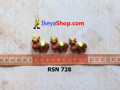 rsn 728  large2